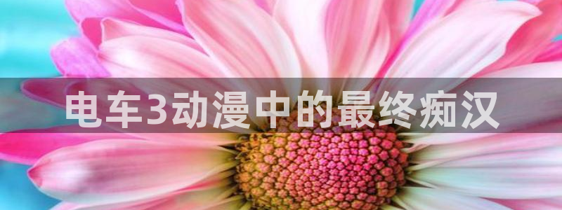 五一动漫在线看