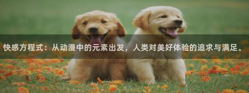 五一动漫在线观看